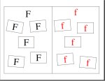 Letter F Worksheet