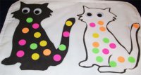 cats color activity